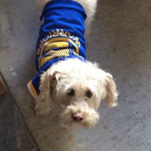 Meet your Posher, Michelle